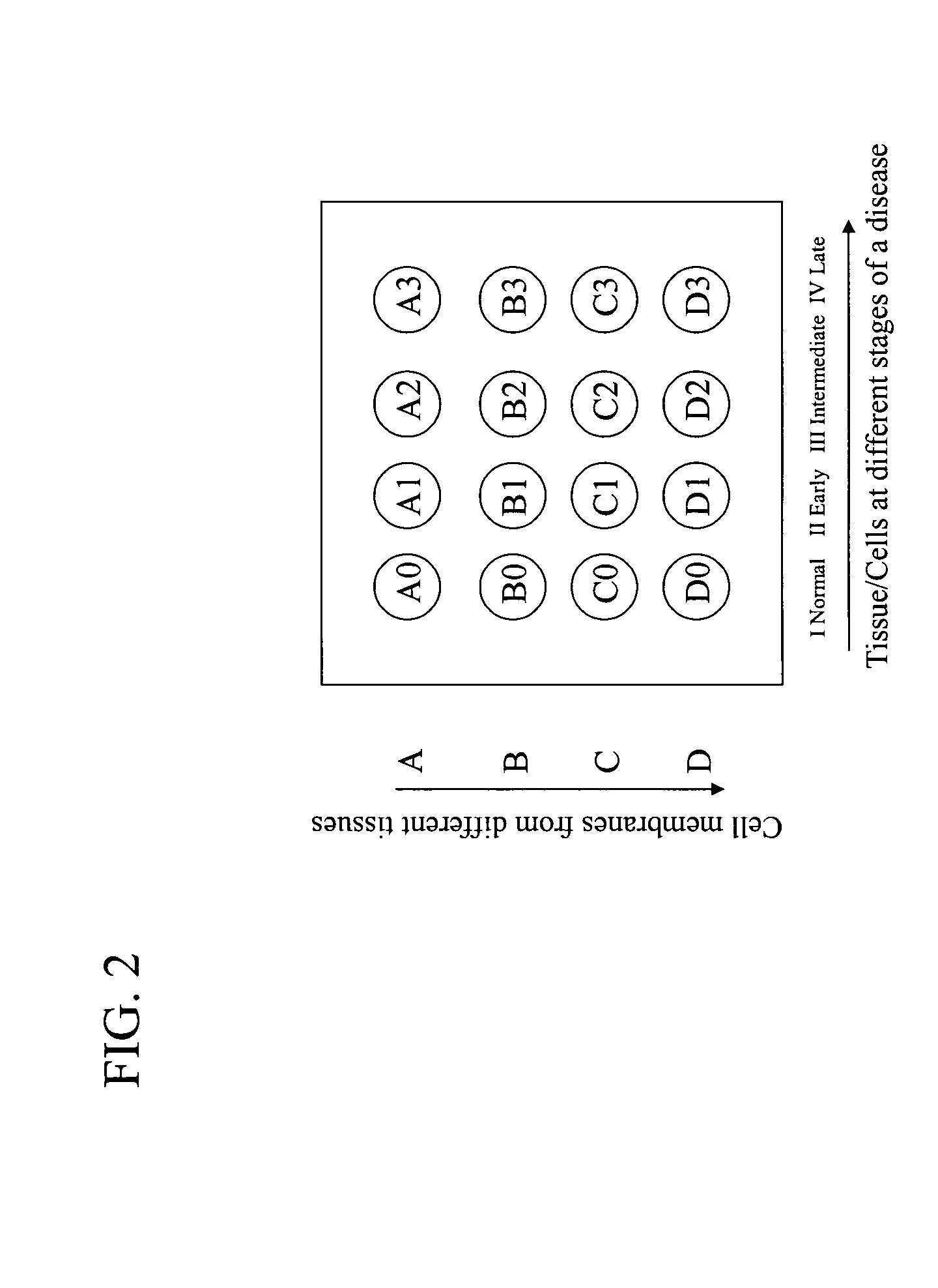 Target evaluation using biological membrane arrays