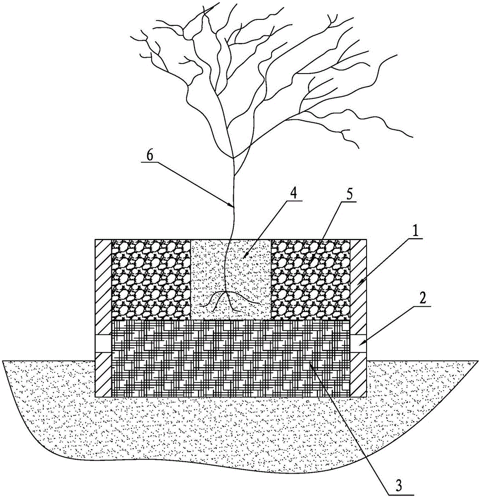 Multilayer fertilization method for increasing content of vineyard soil organic matter at a time