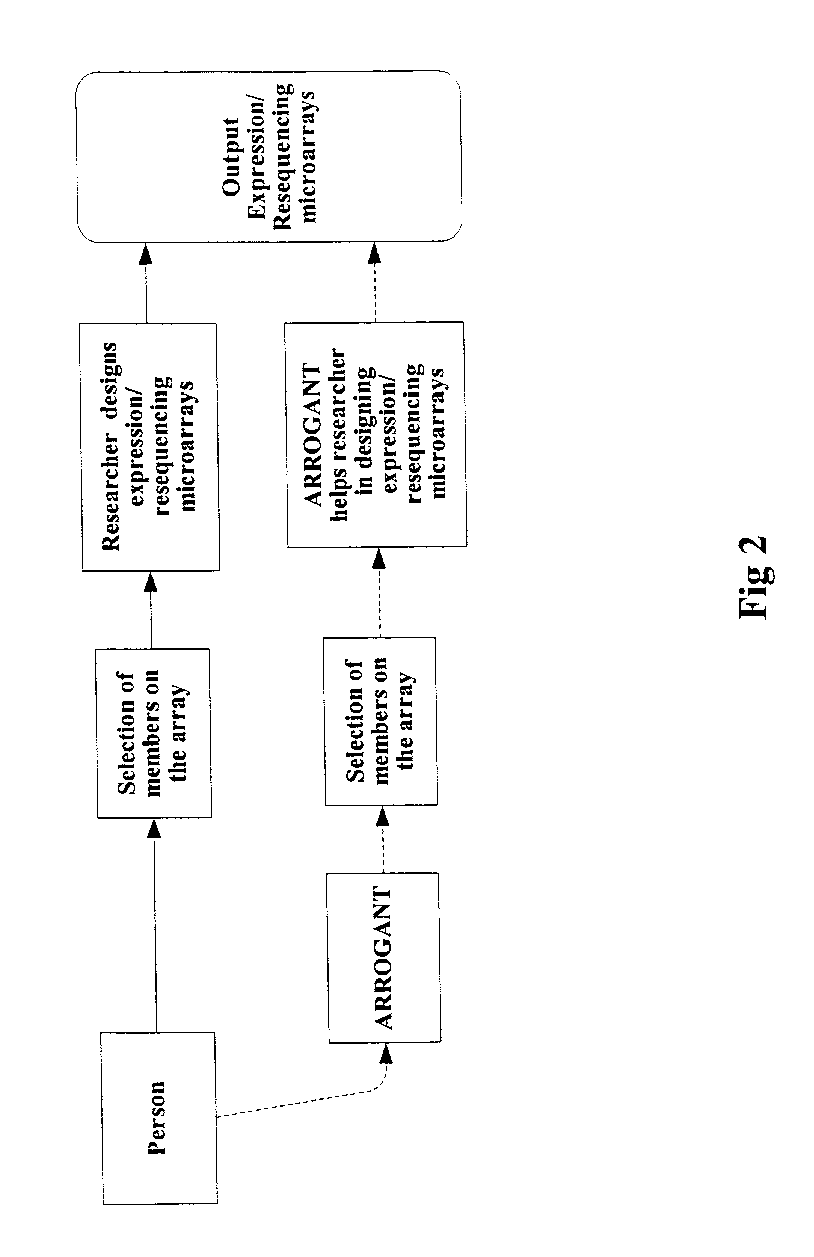 Program for microarray design and analysis