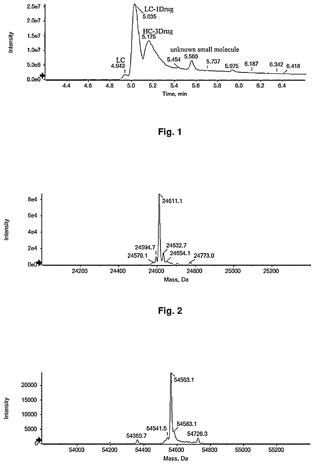 Bioactive conjugate, preparation method therefor and use thereof