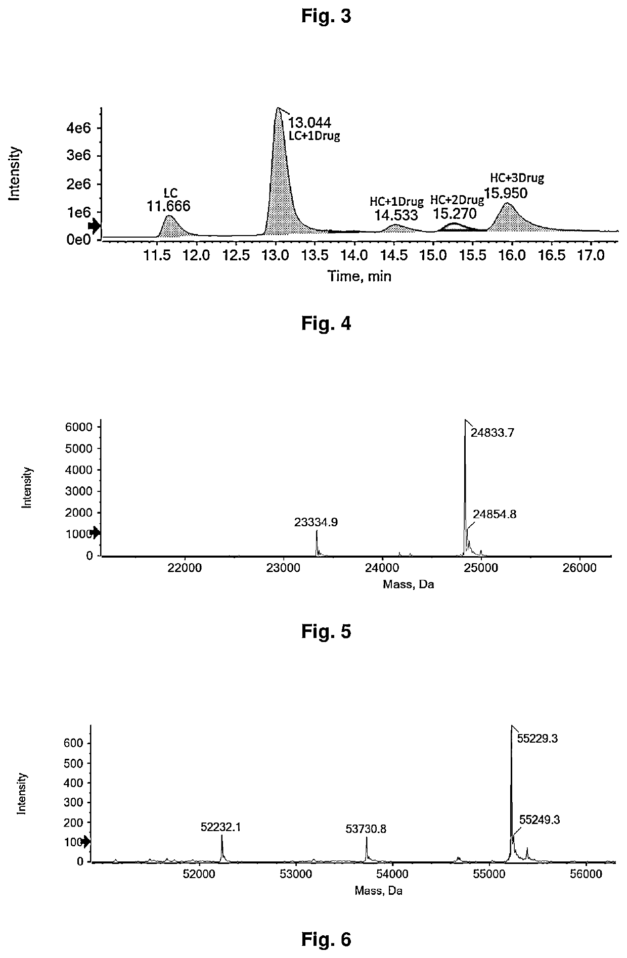 Bioactive conjugate, preparation method therefor and use thereof