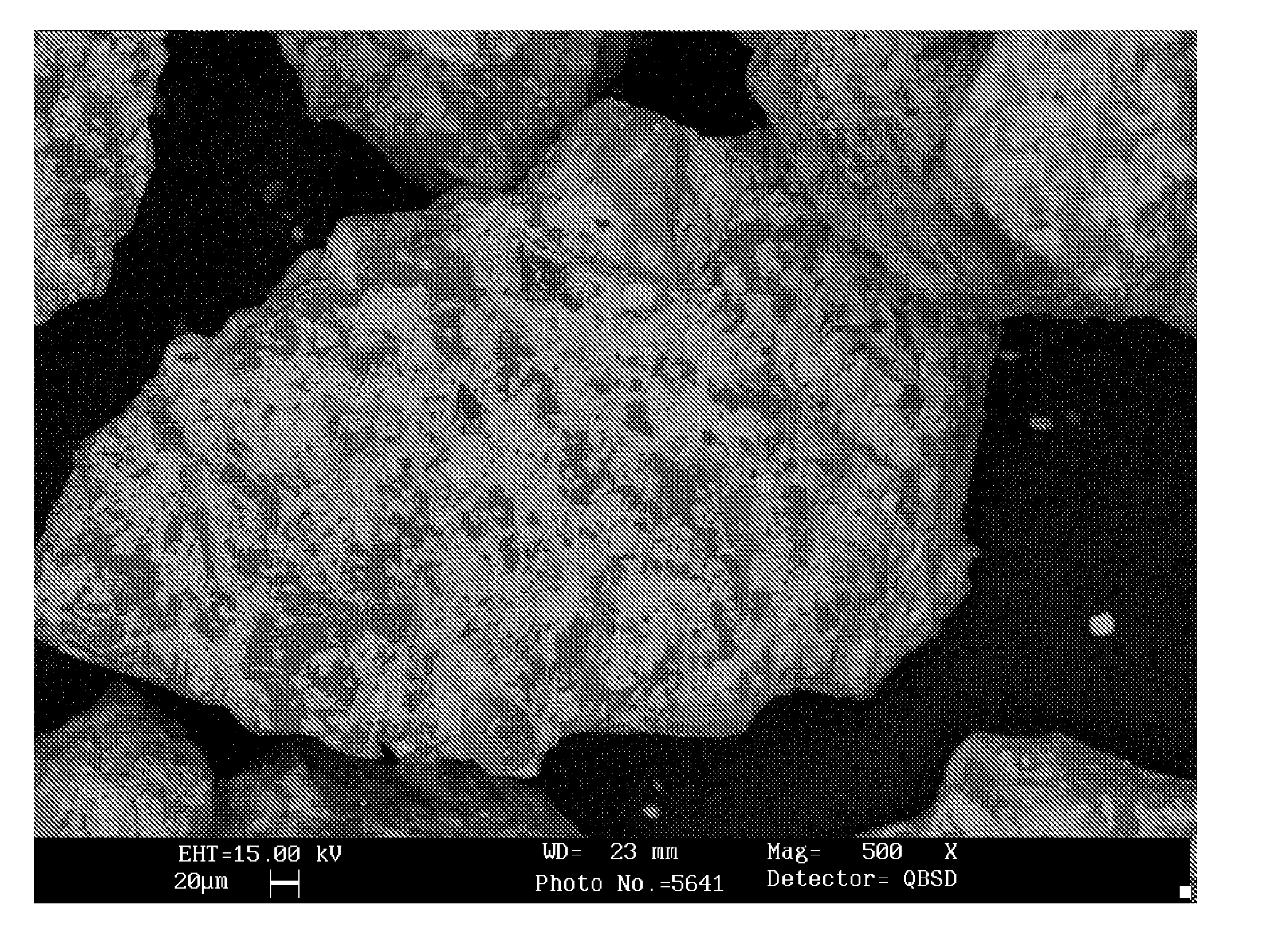 Inoculant with surface particles