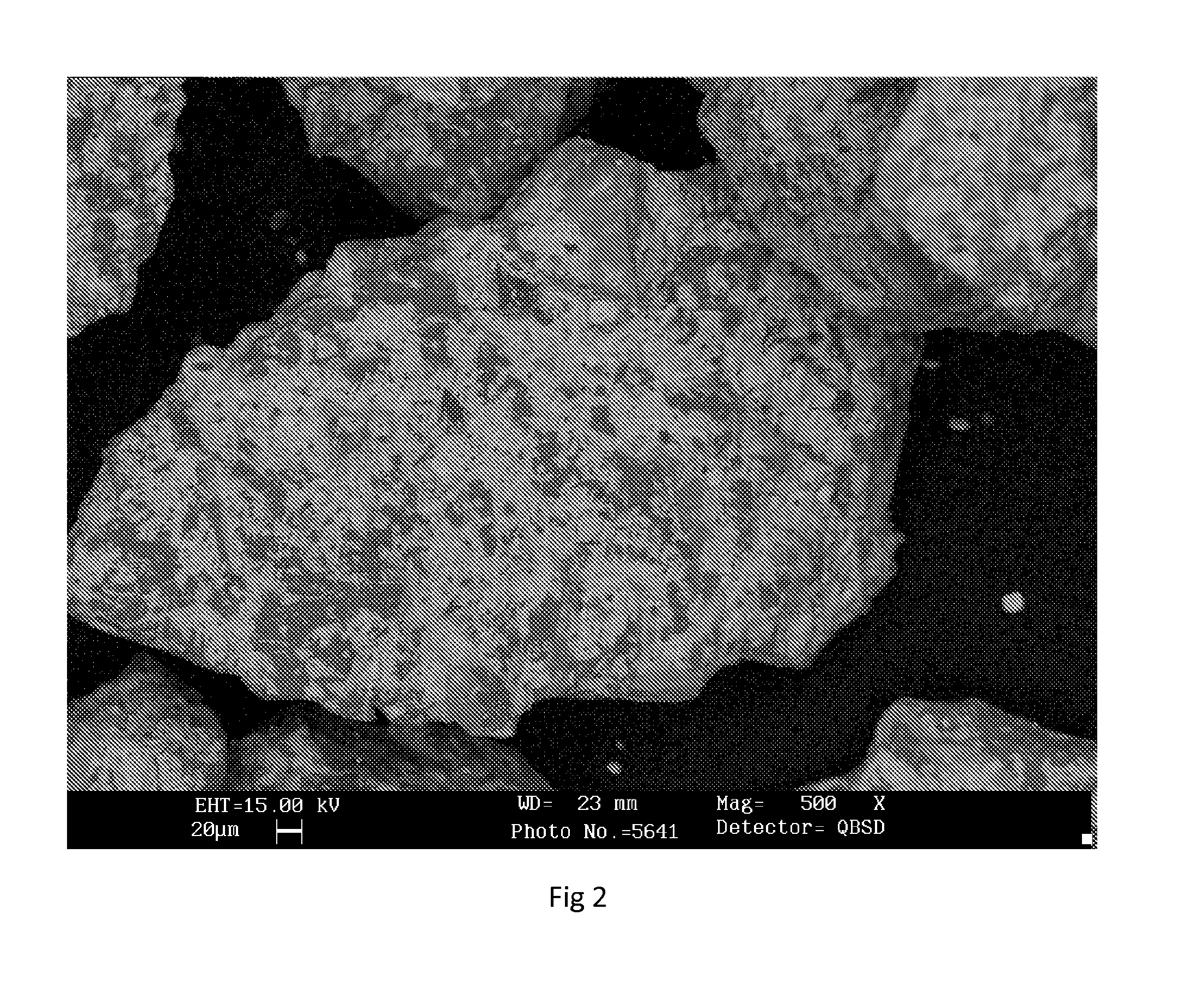 Inoculant with surface particles