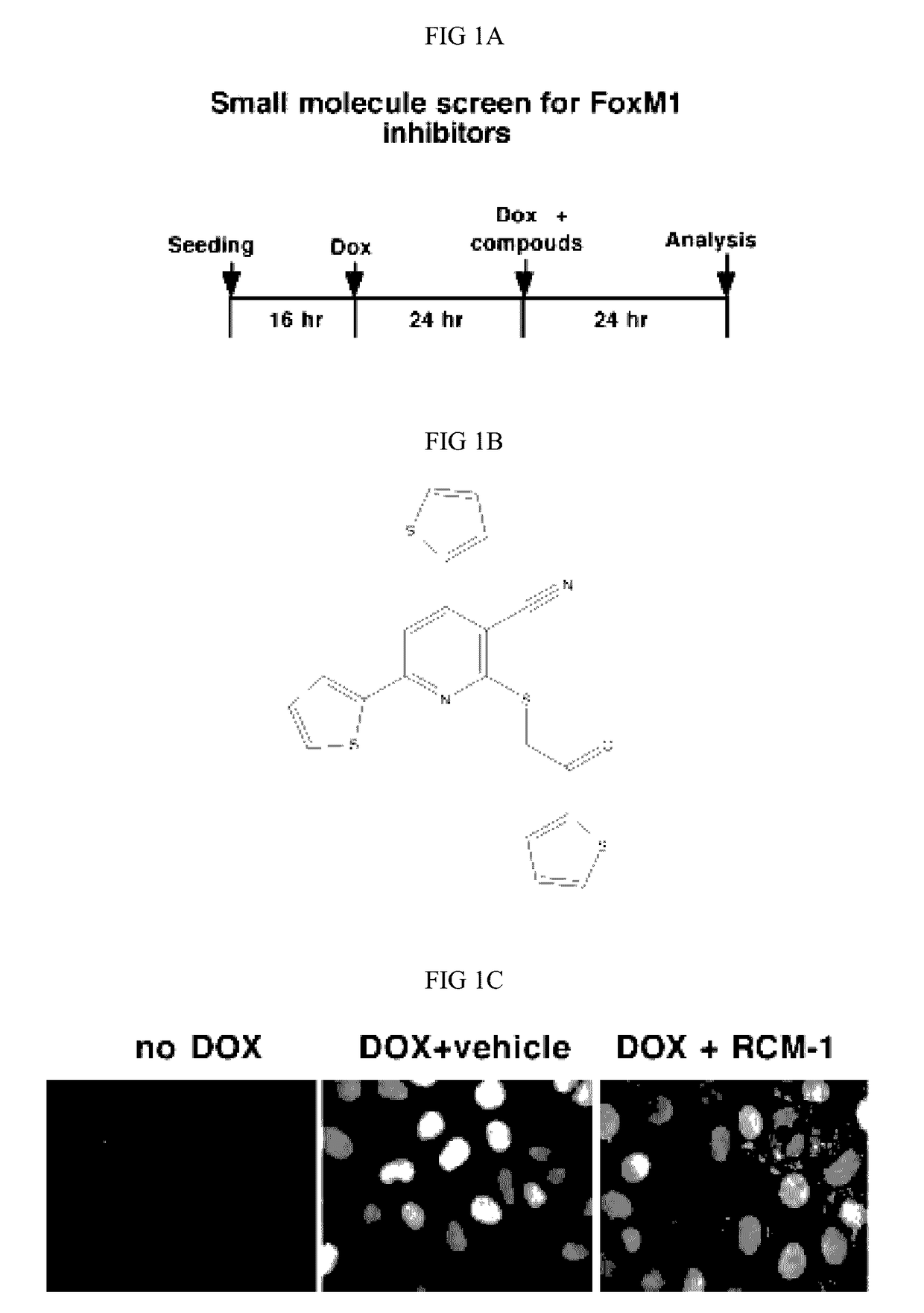 Compositions and methods for treatment of lung dysfunction