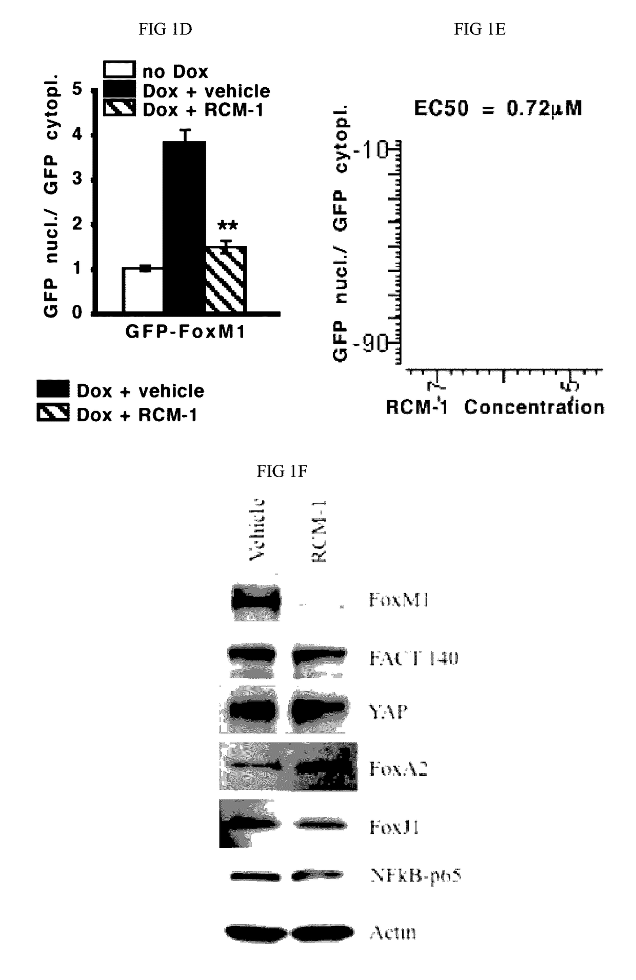 Compositions and methods for treatment of lung dysfunction