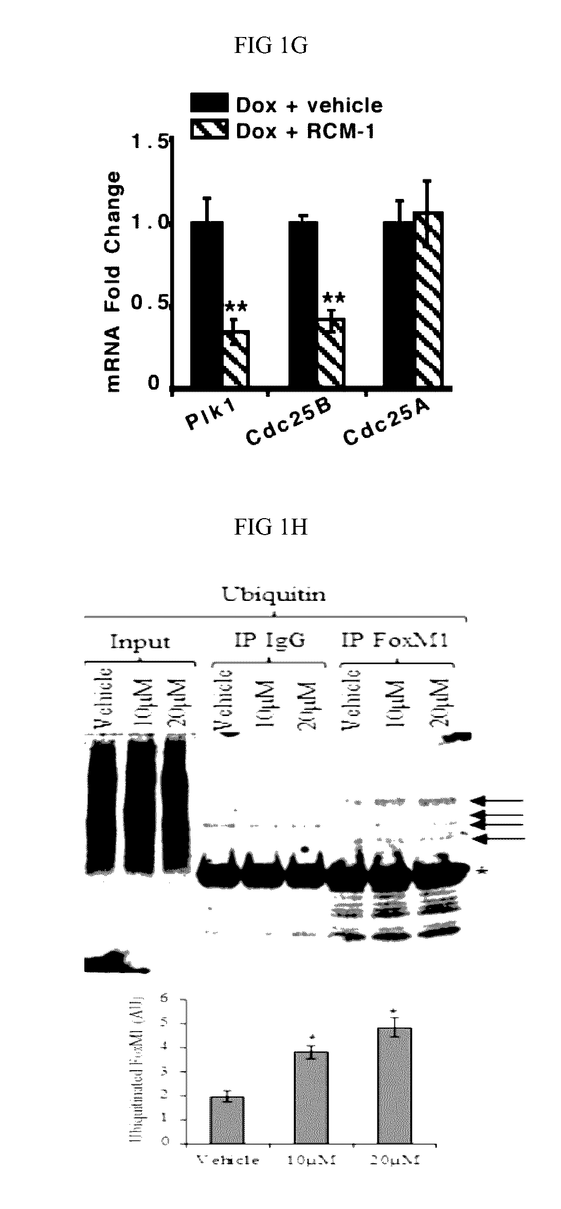 Compositions and methods for treatment of lung dysfunction