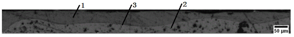 Powder coating with imitation anodic oxidation effect and preparation method thereof