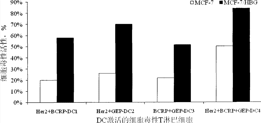 Preparation method of breast cancer-specific epitope polypeptide-loaded dendritic cell vaccine and kit thereof