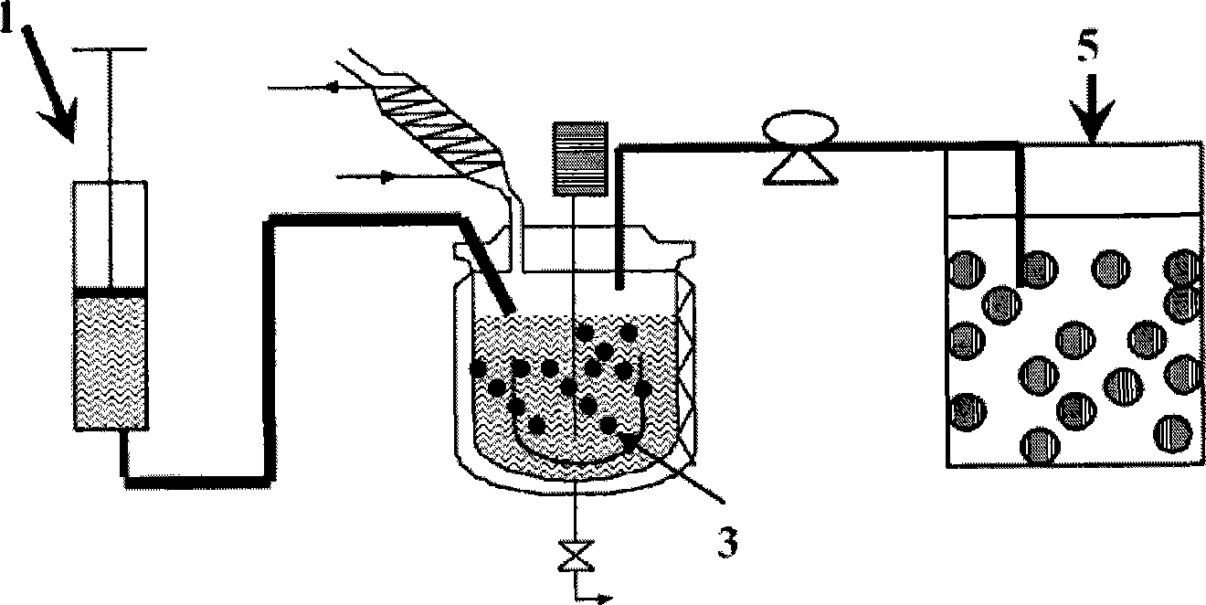 Aqueous polymer dispersion and process