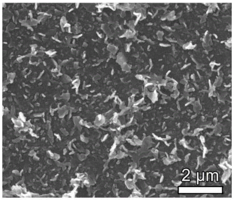 Electrochemical preparation method of MoS&lt;2&gt;/graphene composite counter electrode