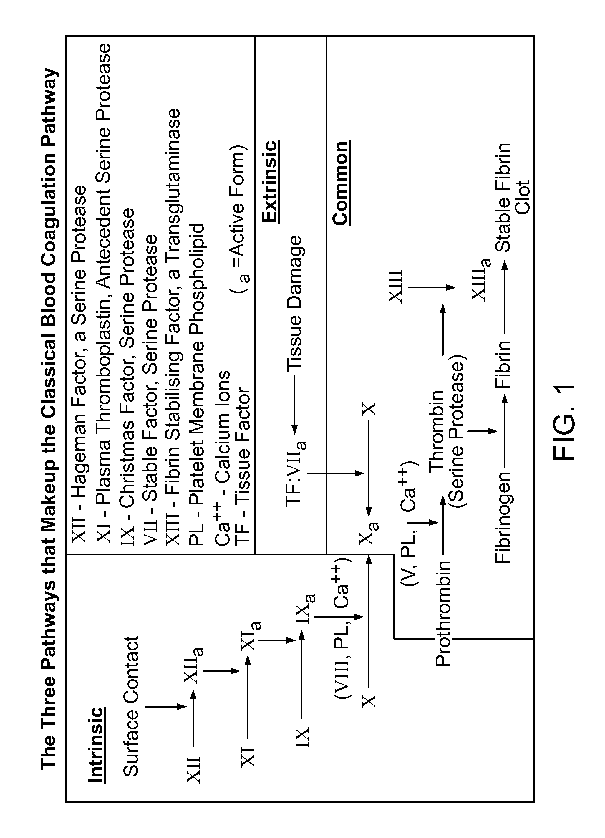 Methods for treating bleeding disorders