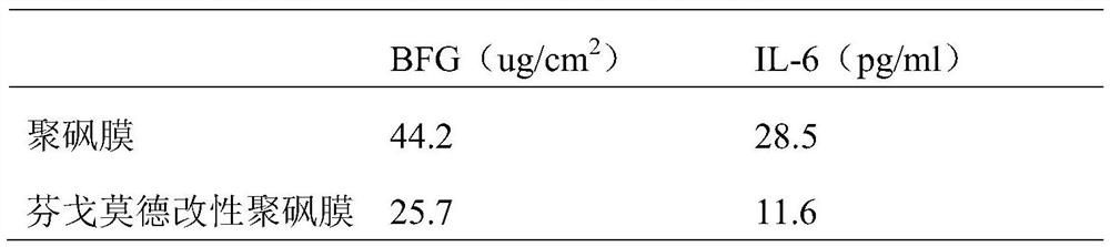 Modified blood purification membrane and preparation method thereof