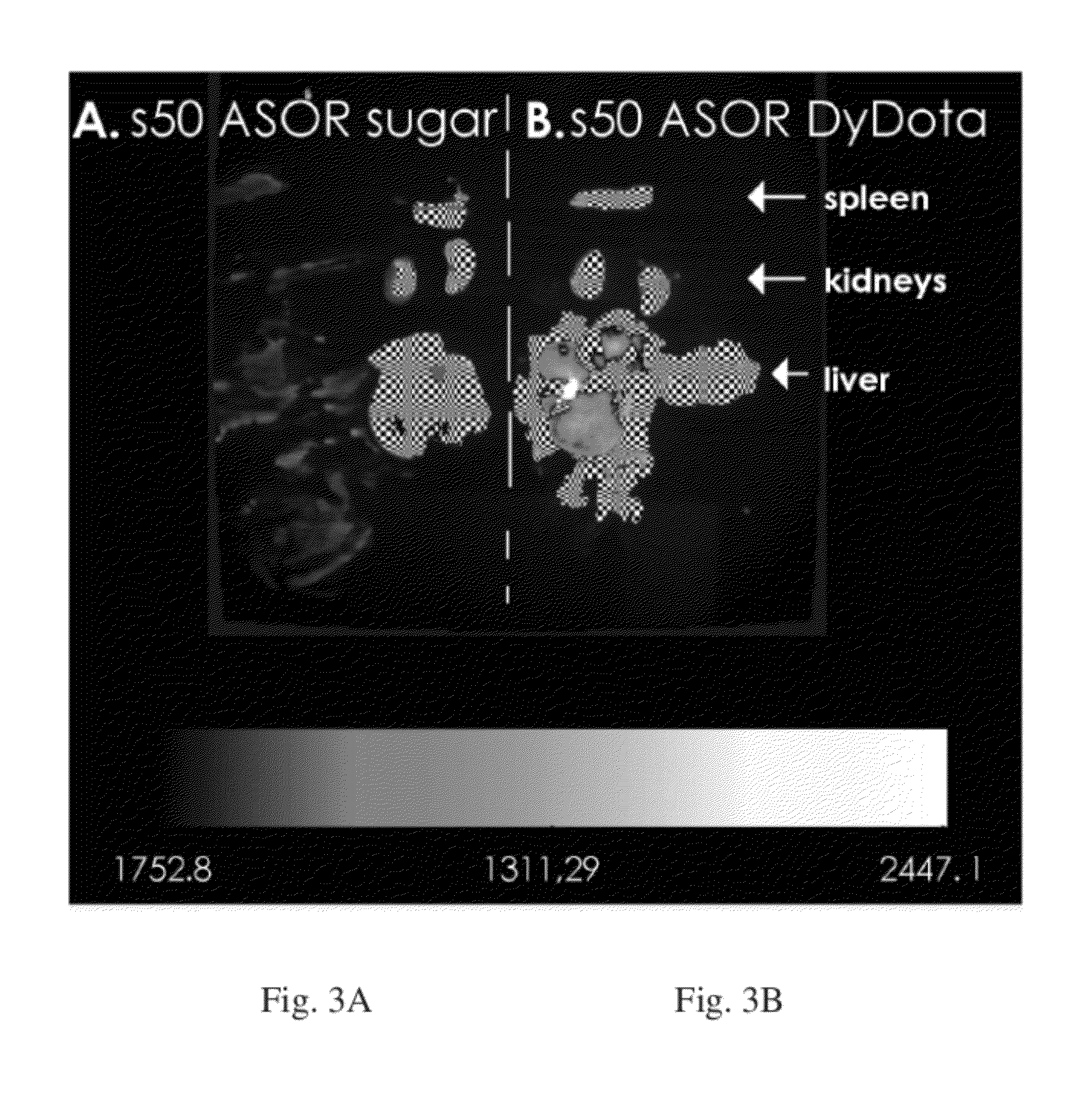 Nanoparticles for Extravascular Administration