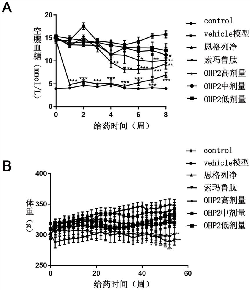 Application of an oral hypoglycemic peptide in the preparation of drugs for treating or preventing diabetes complicated with cardiovascular disease