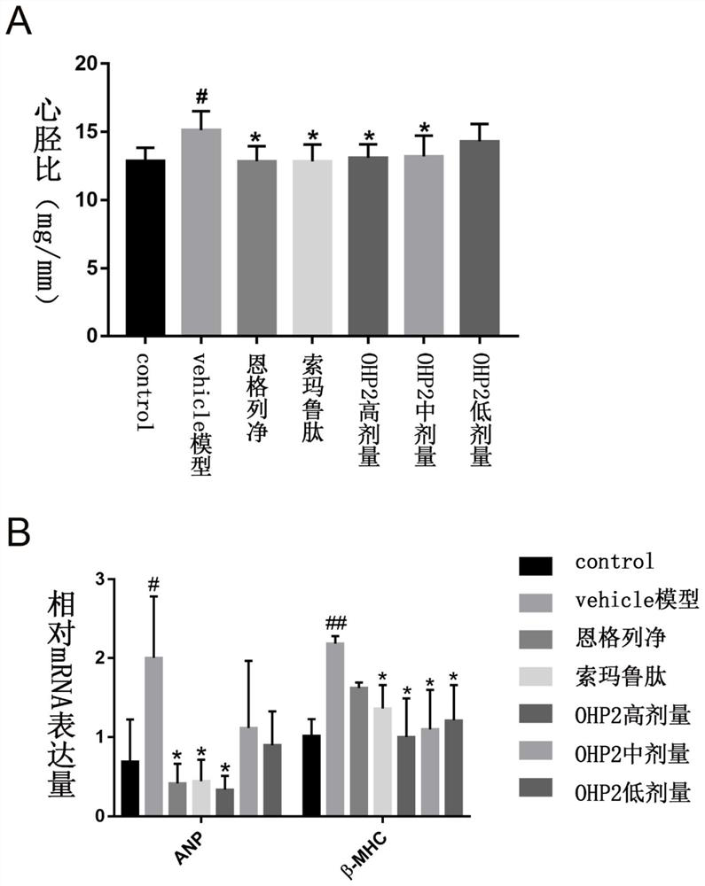 Application of an oral hypoglycemic peptide in the preparation of drugs for treating or preventing diabetes complicated with cardiovascular disease