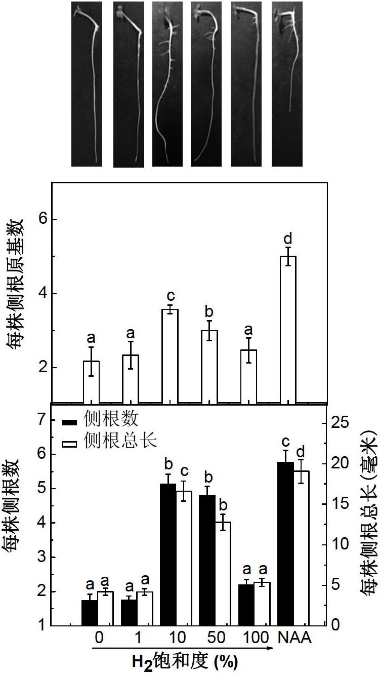 Hydrogen-rich liquid plant growth regulator, and preparation method and application thereof