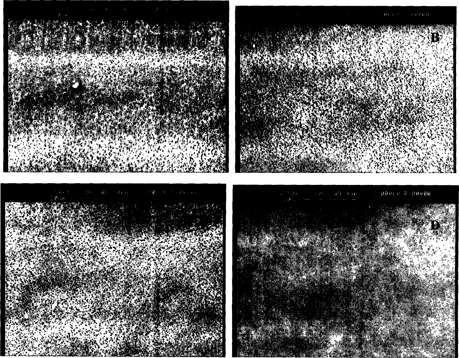 Method for preparing polyvinylidene fluoride flat plate microporous compound film