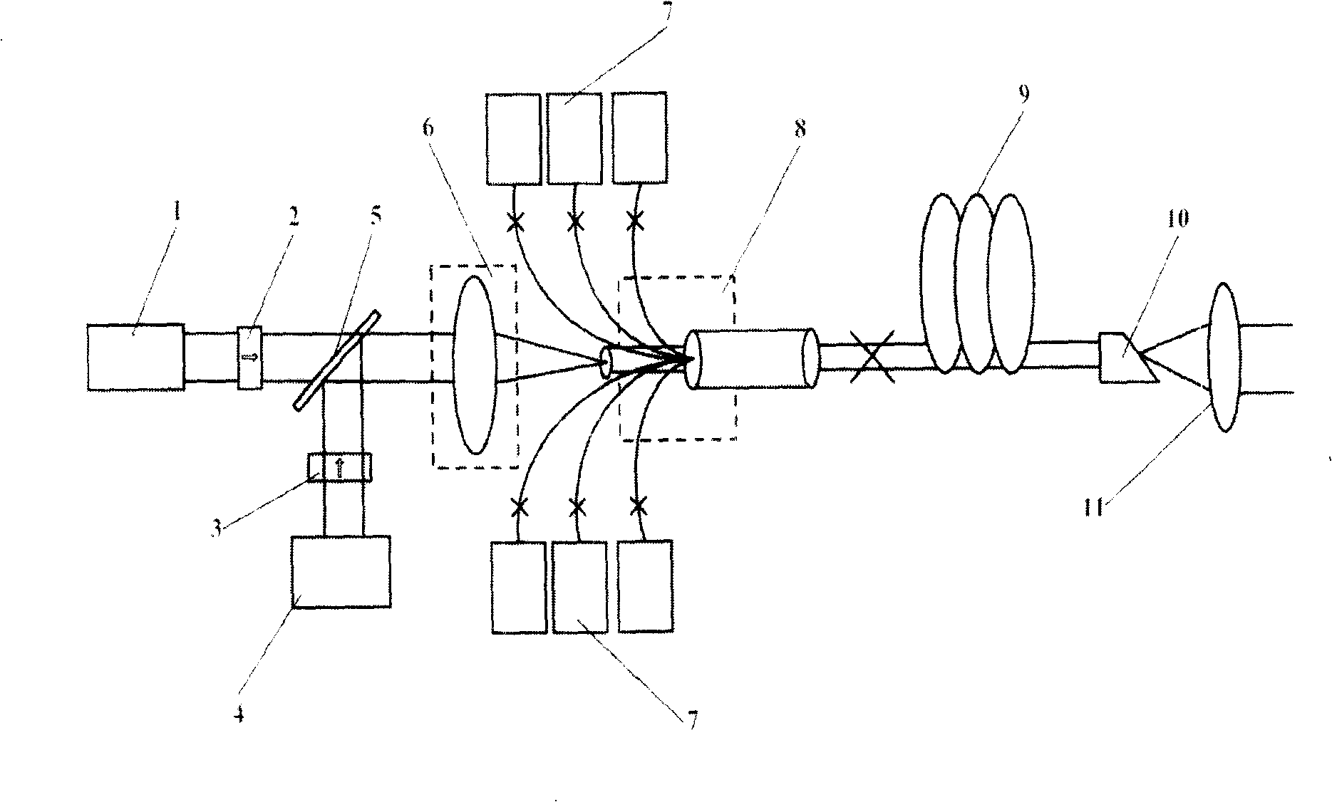 Dual wavelength pulse optical fiber laser system