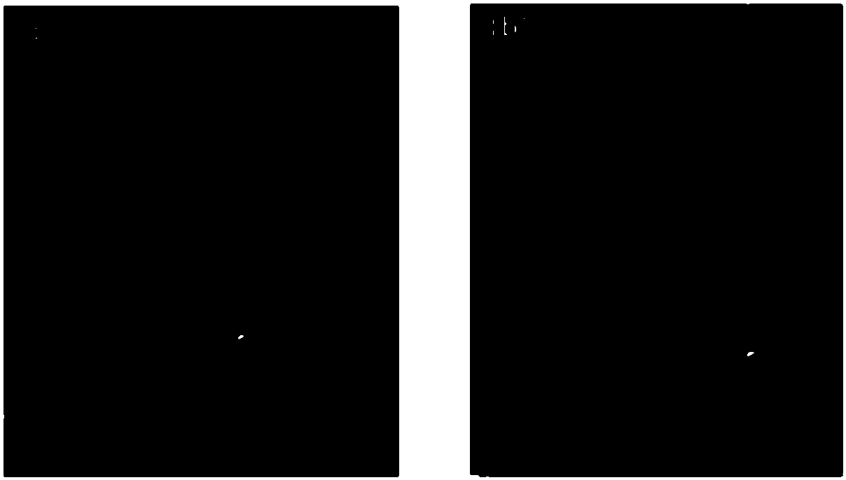 Novel liquid crystal material as well as preparation method and light modulator