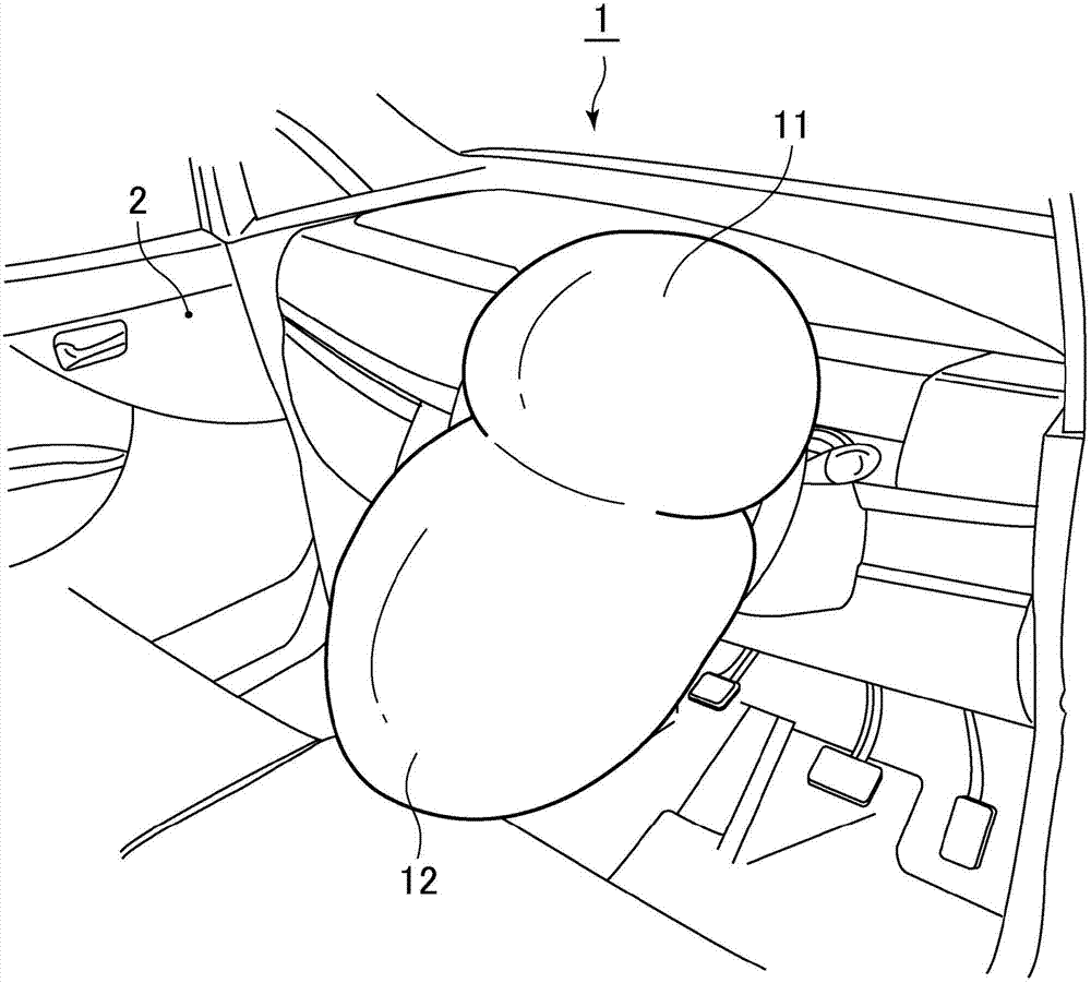 Occupant protection device