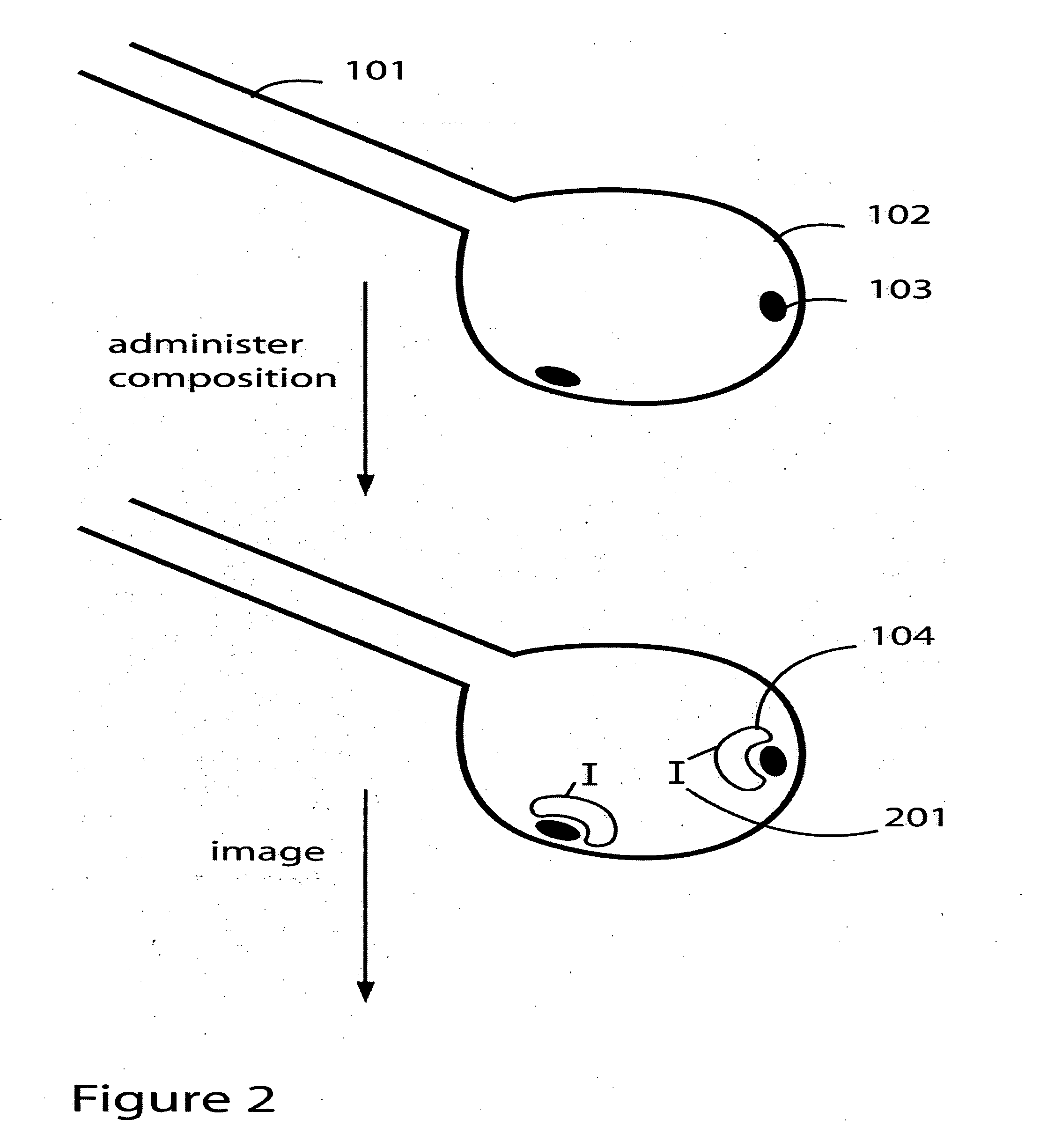 Imaging damaged lung tissue using compositions