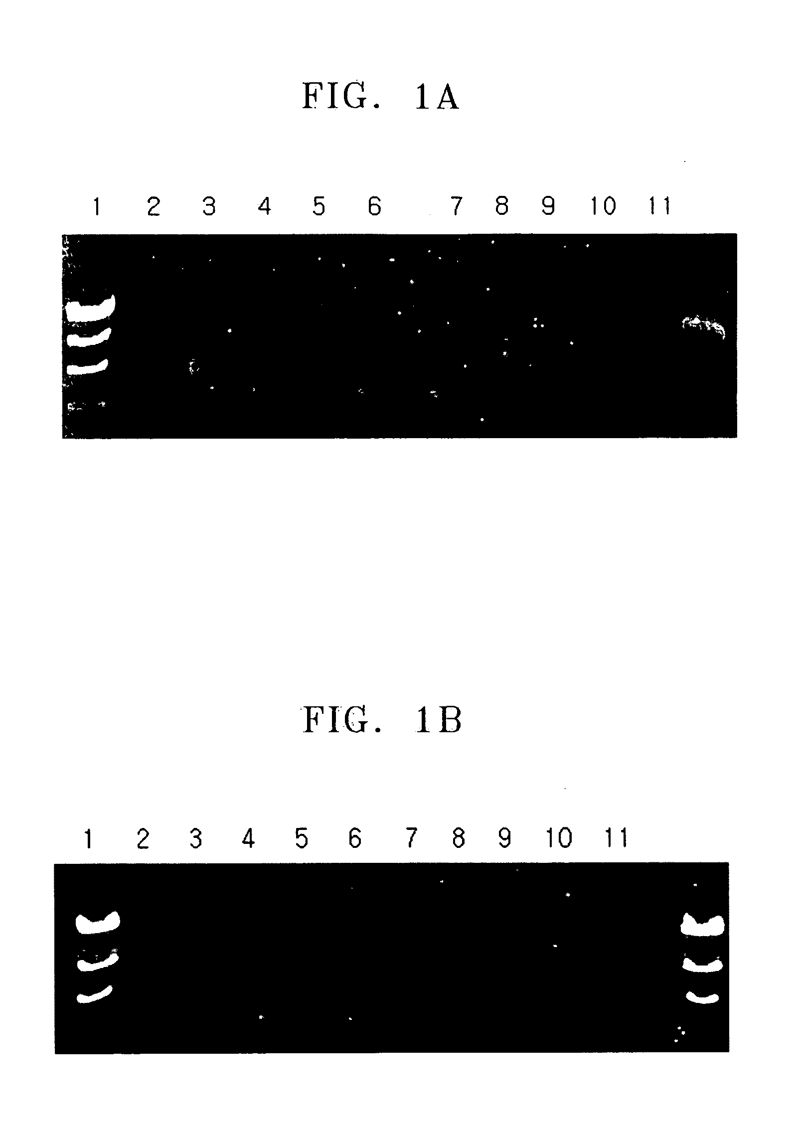 Method of selectively lysing non-viable cells in cell population in sample