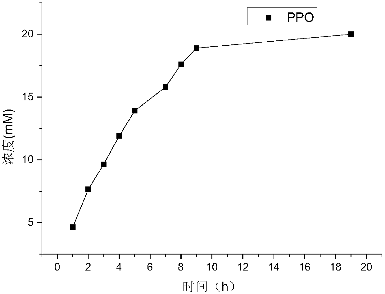 D-amino acid oxidase mutant and application thereof