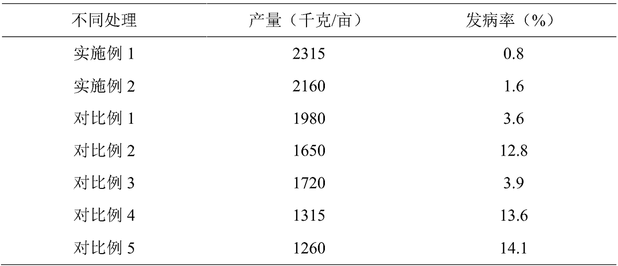 High-efficiency disinfection treatment method for strawberry elevated cultivation substrate