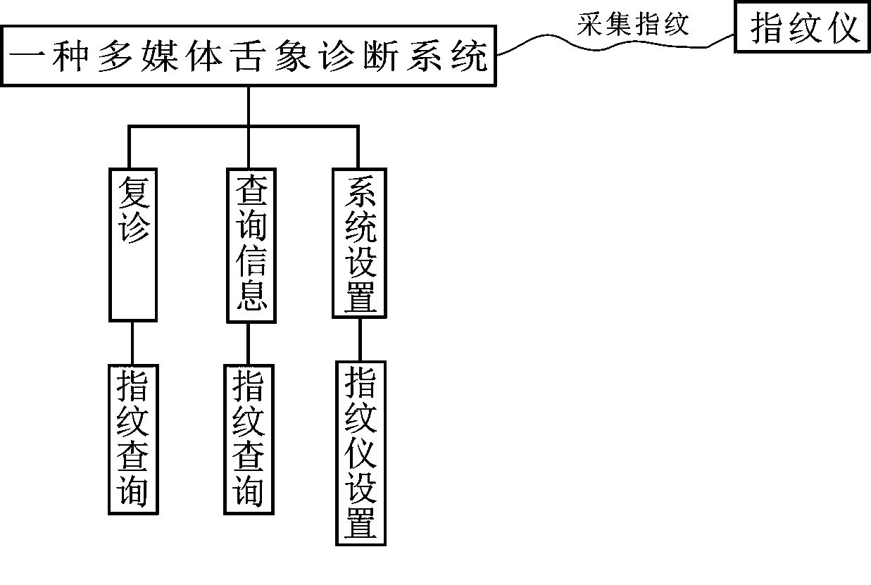 Multimedia tongue picture diagnosis system