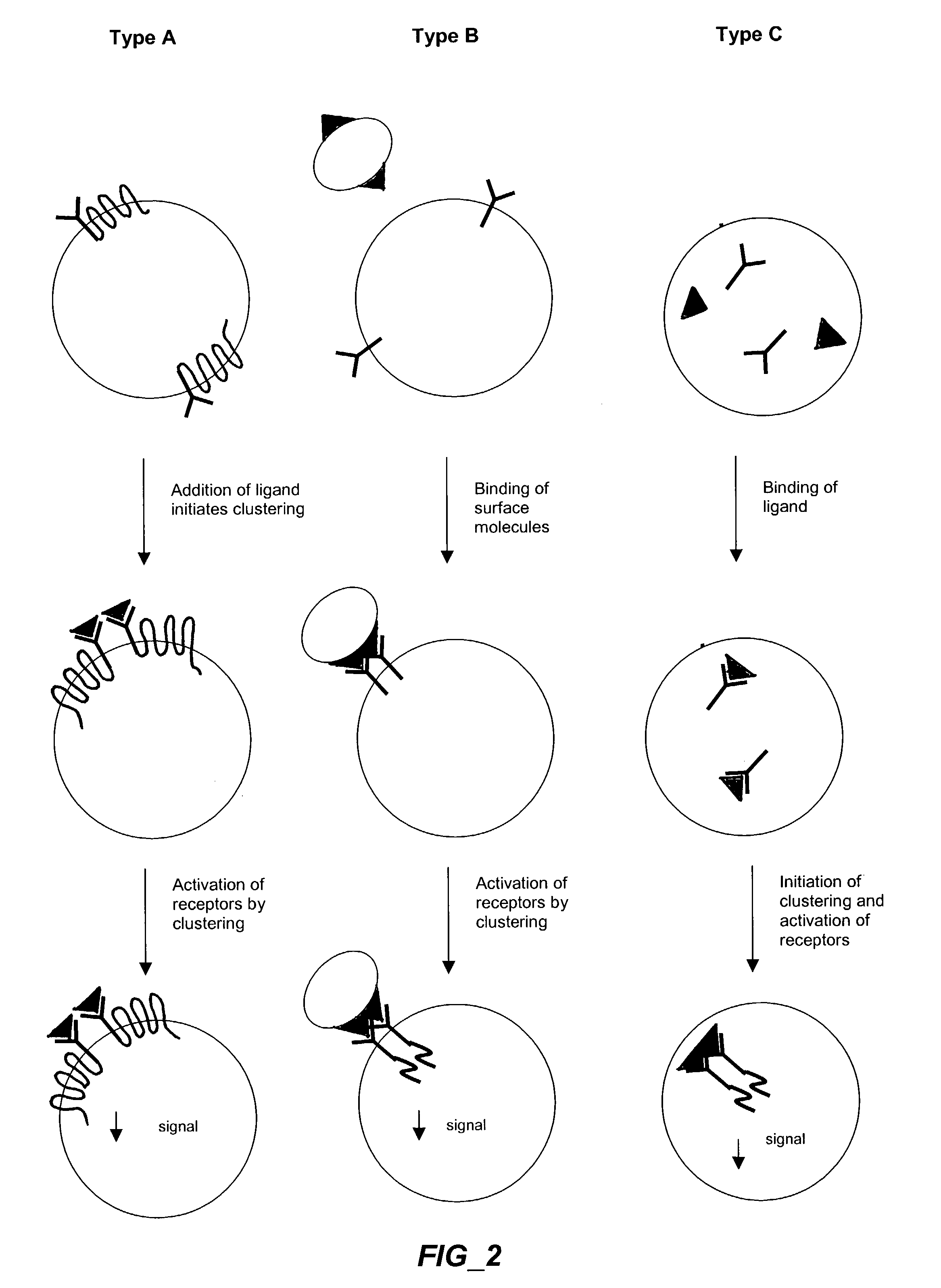 Methods and compositions for detecting receptor-ligand interactions in single cells