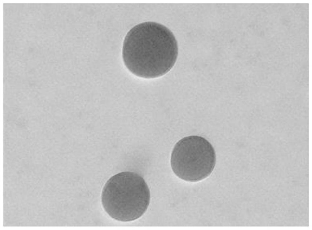 Soluble microneedle patch for targeted diagnosis and treatment of skin diseases and preparation of soluble microneedle patch