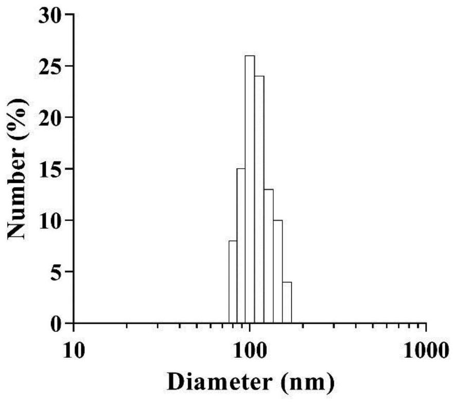 Soluble microneedle patch for targeted diagnosis and treatment of skin diseases and preparation of soluble microneedle patch