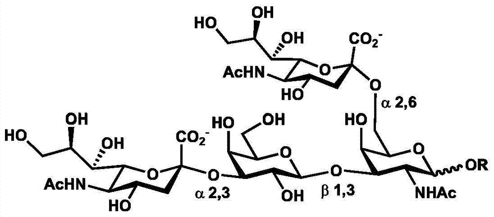 Synthetic method of double-sialylated tetrasaccharide