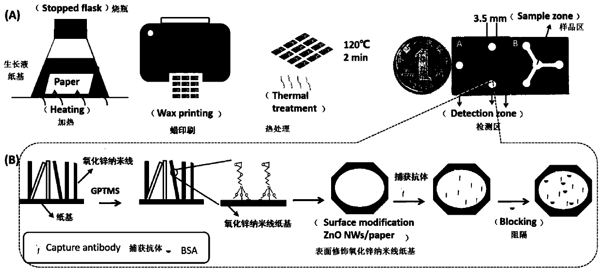 Paper-based analysis device and method based on zinc oxide nanowire fluorescence enhancement