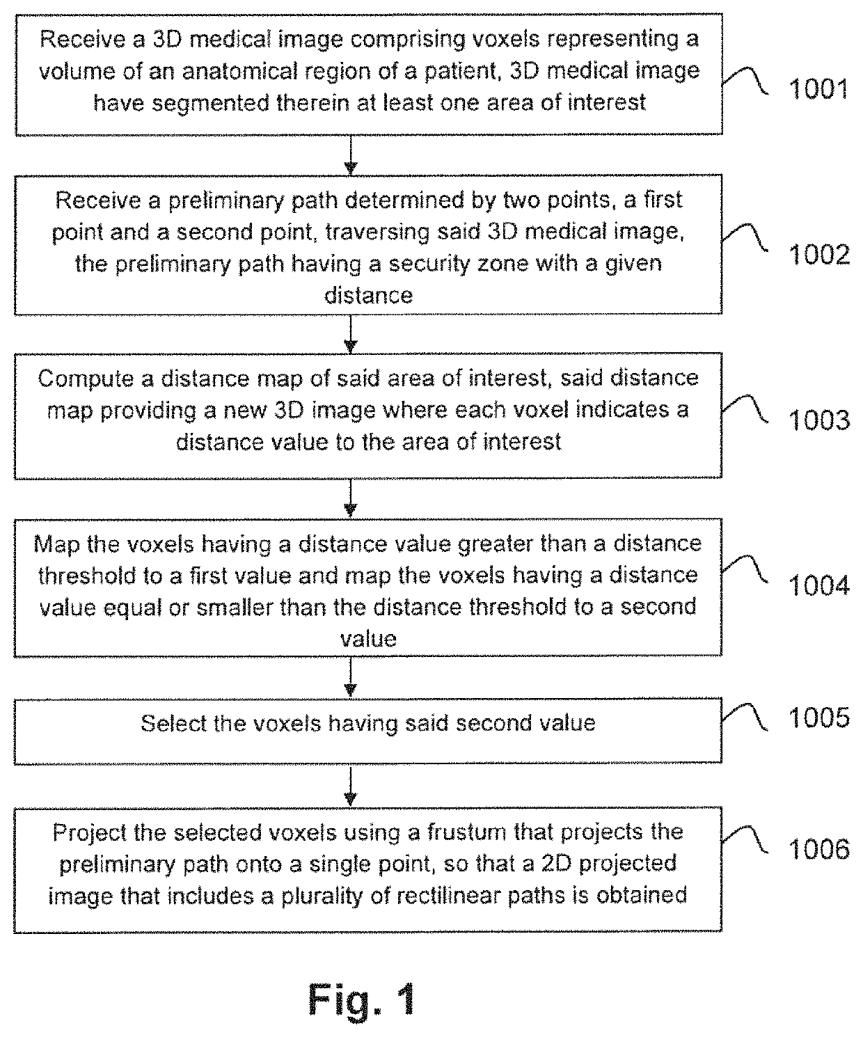 Computer implemented method, a system and computer programs for computing simultaneous rectilinear paths using medical images