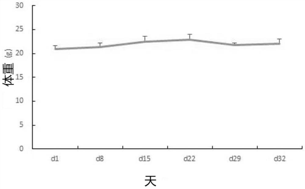 HER2 positive gastric cancer drug-resistant PDX model as well as construction method and application thereof