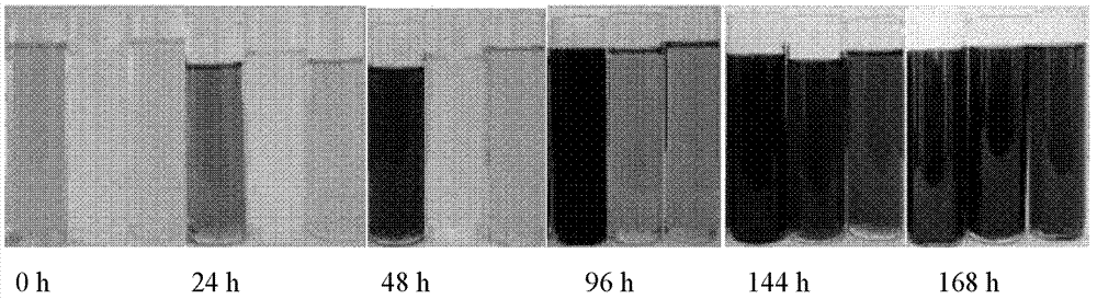 Rapid and comprehensive evaluation method of lubricant oil aging performance