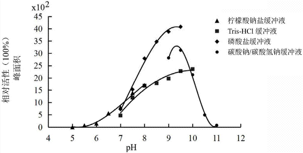 Gene CsRHMb capable of catalyzing biosynthesis of UDP-rhamnose as well as encoded protein of gene CsRHMb and applications of encoded protein