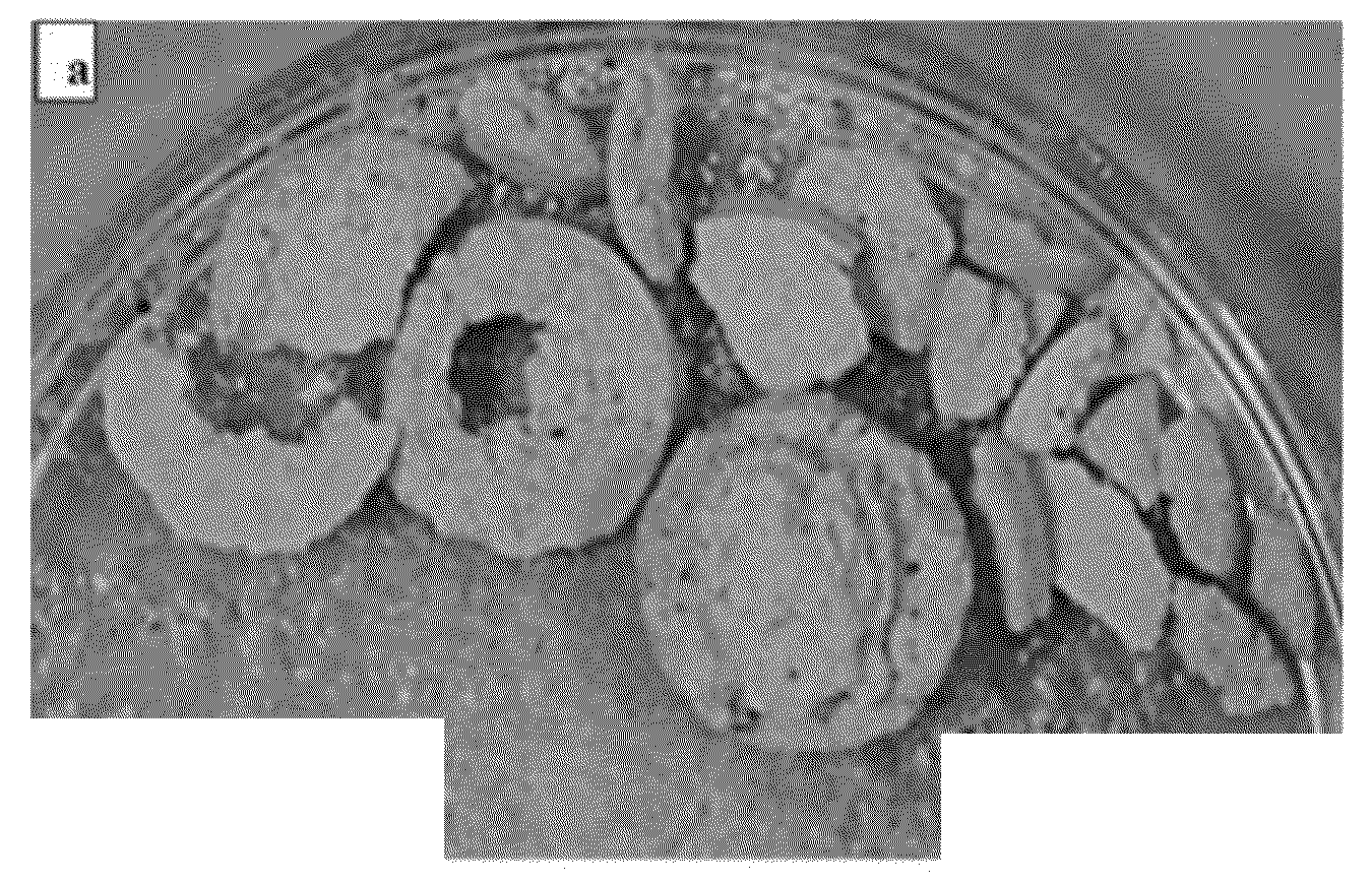 Methods to fabricate nano-macro porous glass using a water soluble pore former