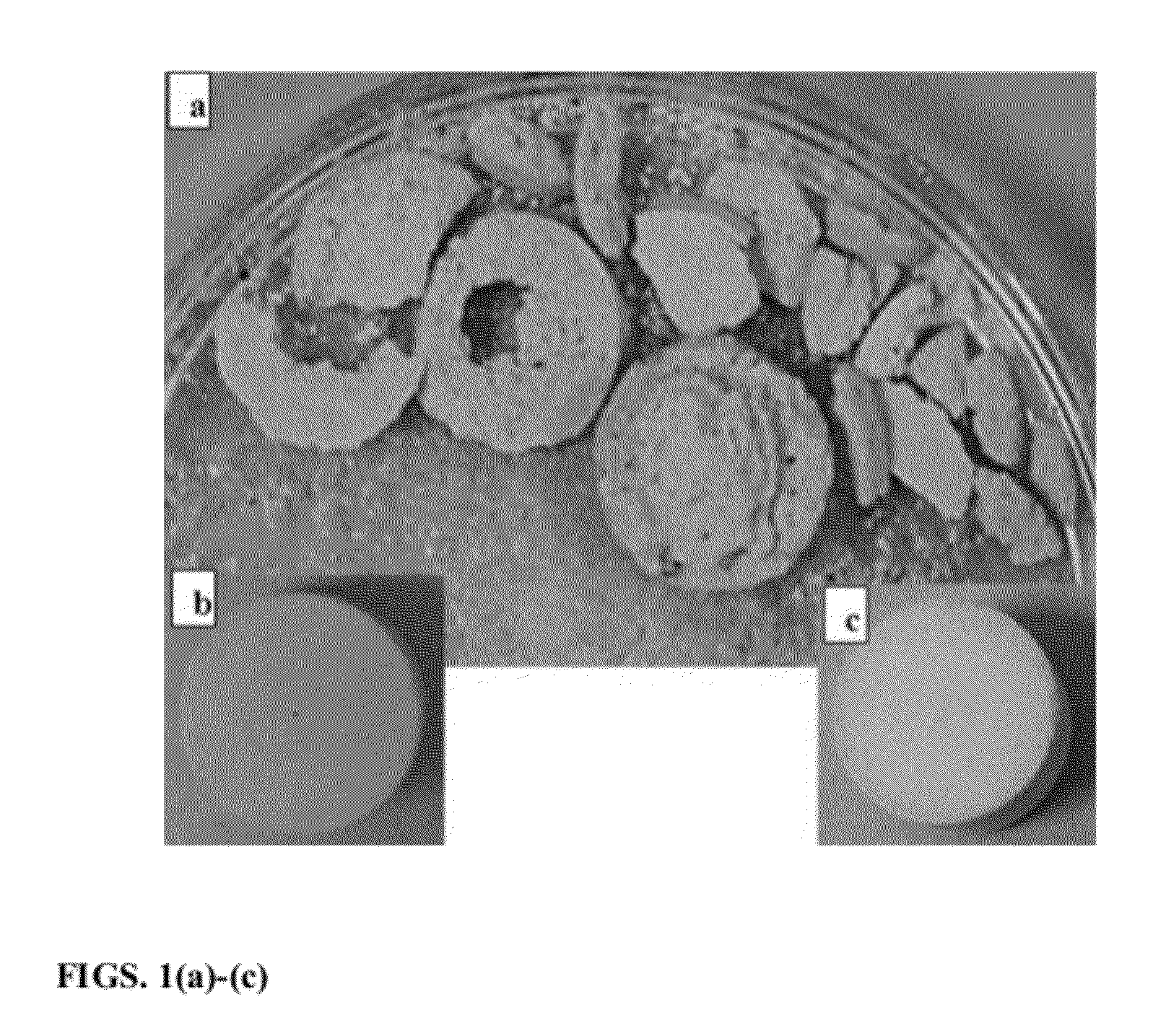 Methods to fabricate nano-macro porous glass using a water soluble pore former