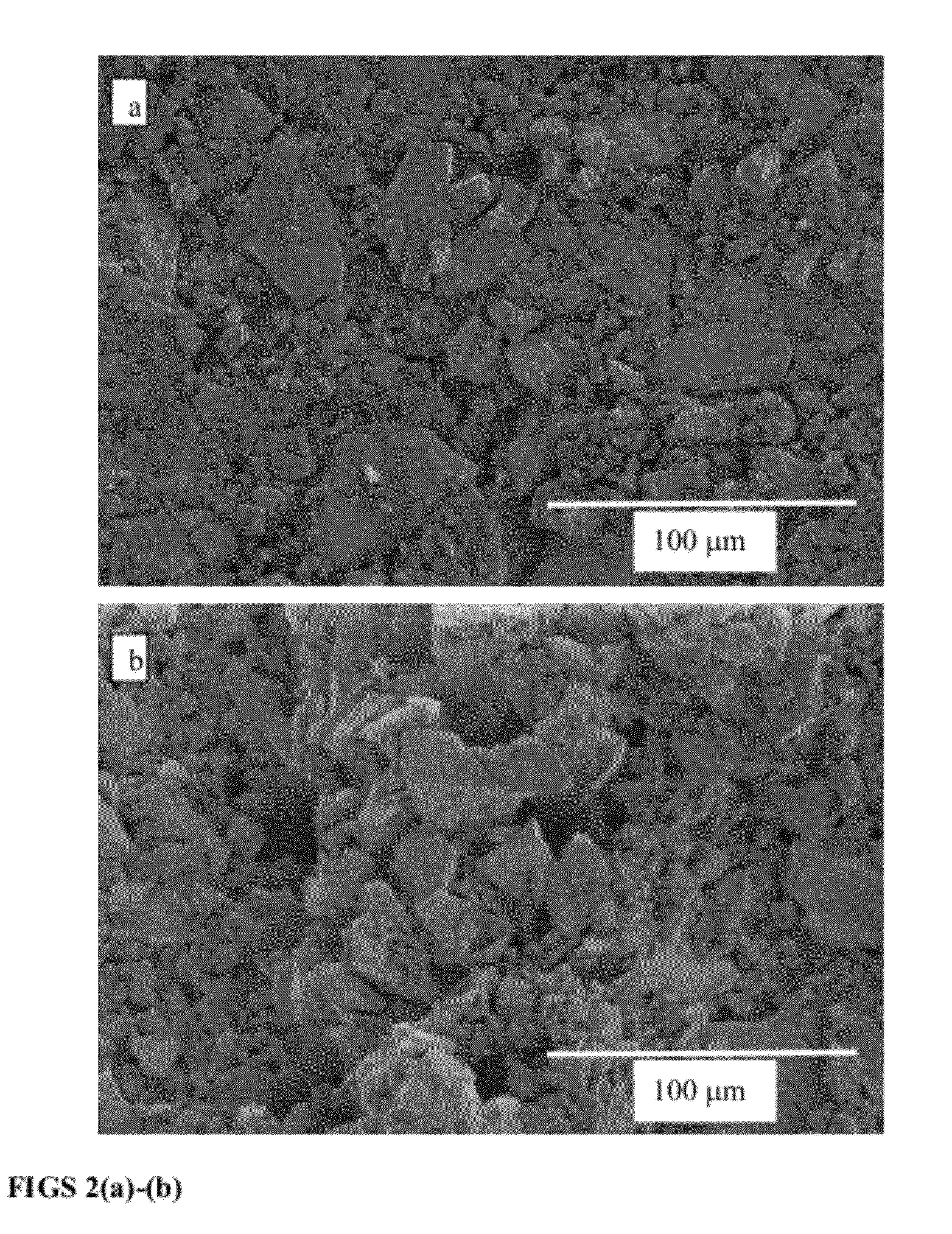 Methods to fabricate nano-macro porous glass using a water soluble pore former