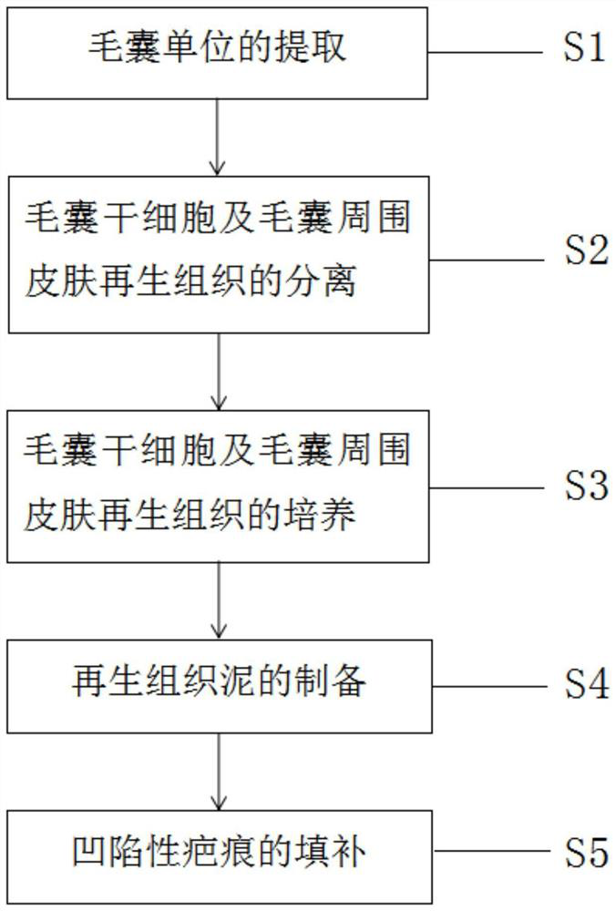 Preparation method of hair follicle stem cell tissue paste for treating depressed scars