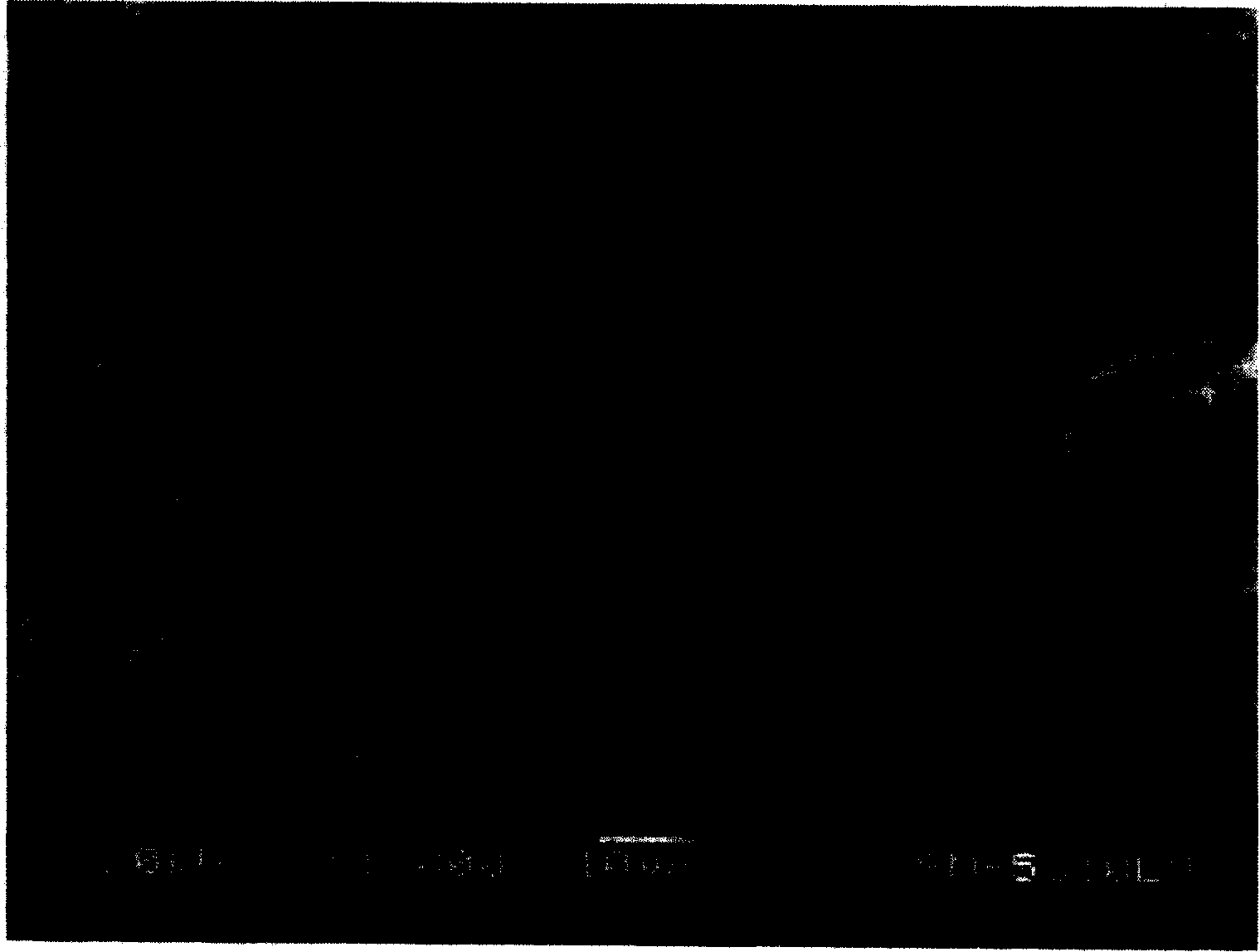 Silicon-containing composite material and its preparation method and application