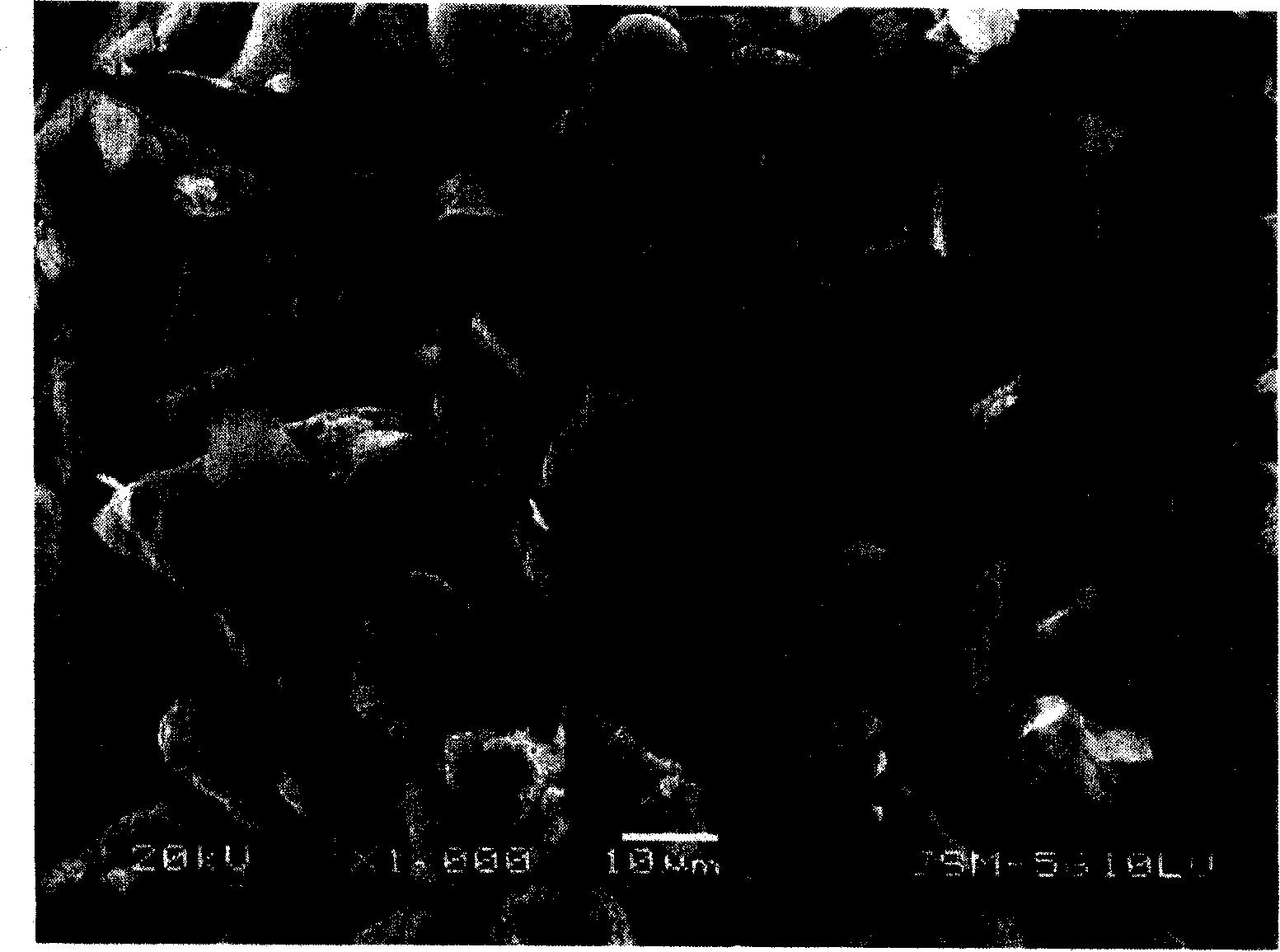 Silicon-containing composite material and its preparation method and application