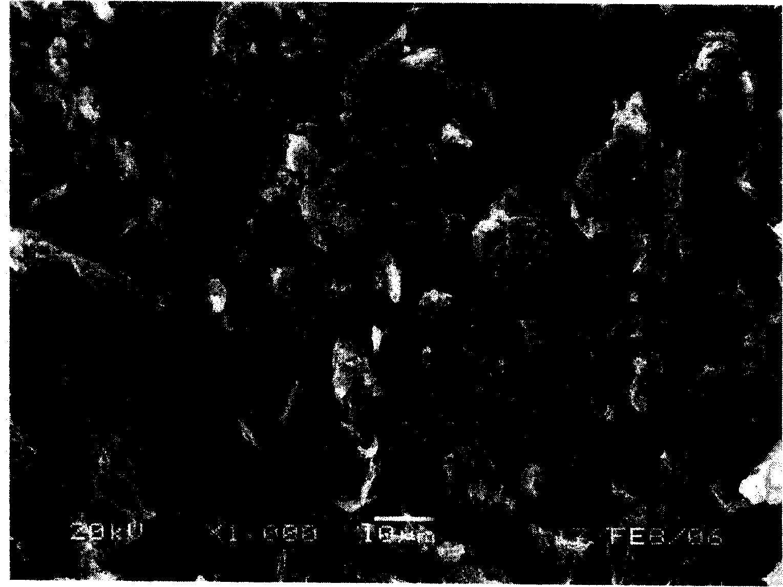 Silicon-containing composite material and its preparation method and application