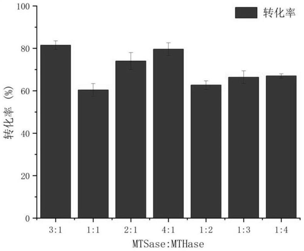 Construction and application of a recombinant Bacillus subtilis that secretes mthase and mtsase simultaneously