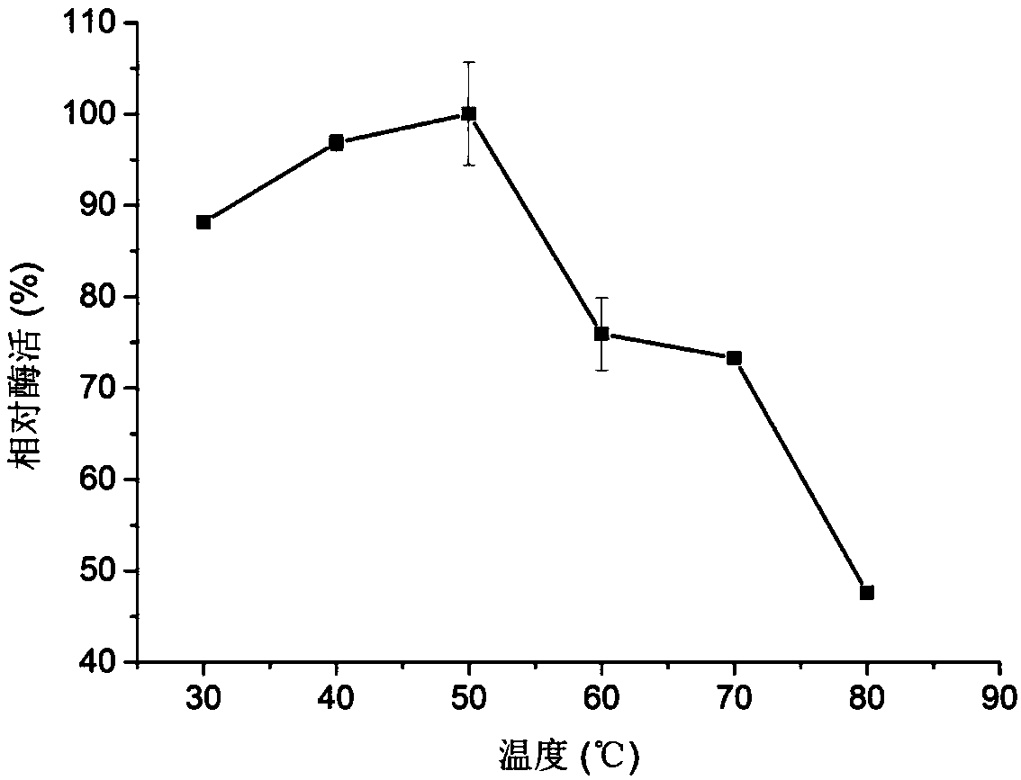 Chitoanase and application thereof to preparation of chitosan oligosaccharide