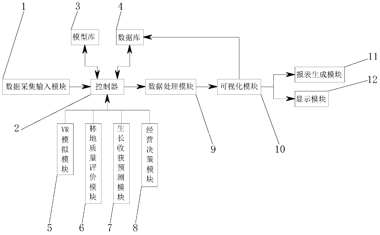 Artificial forest land research system and method based on pinus tabulaeformis