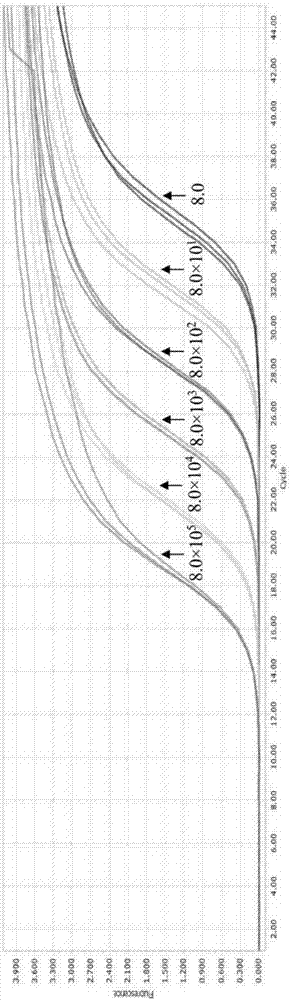 Primers, kits and methods for triple fluorescent quantitative PCR detection of dtmuv, edsv and h9 subtype aiv