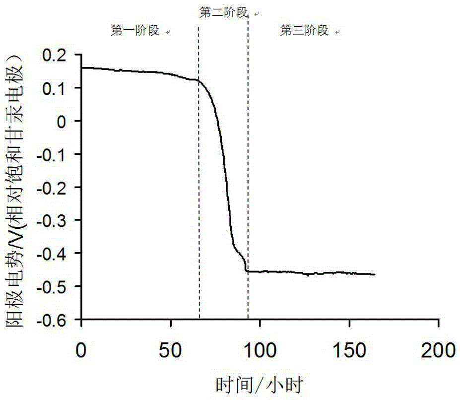 A method for the automated construction of stable electrocatalytic bacterial biofilms